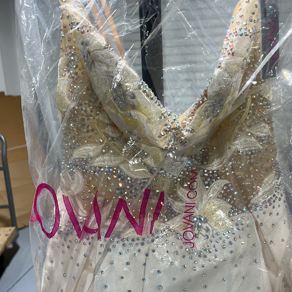 Gorgeous Jovani prom/ evening dress. Color is Ivory. Size 10. - Picture 6 of 6